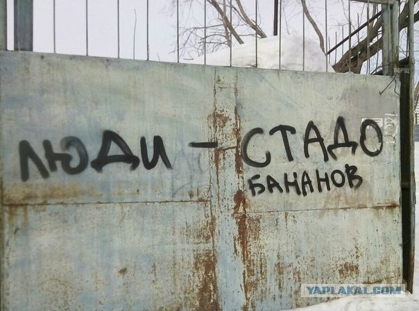 Смешные комментарии из социальных сетей 23.12.2016