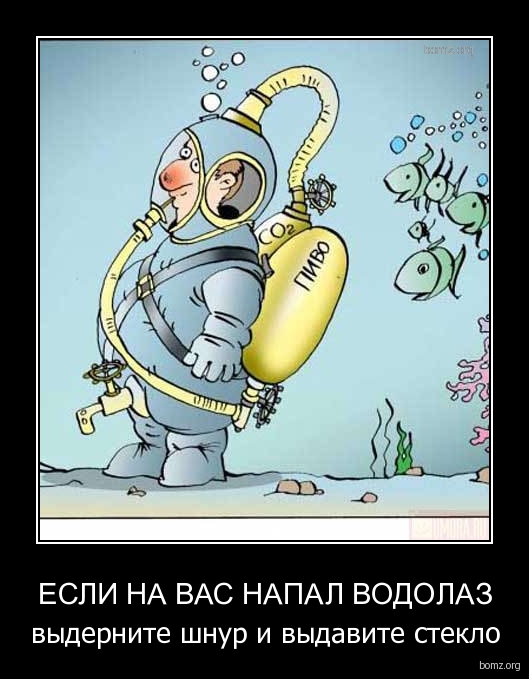 Подборка интересных и веселых картинок