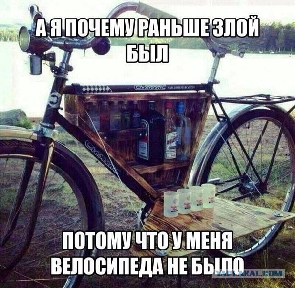 Картинки с просторов на пятницу