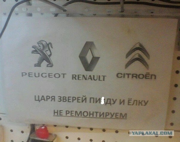 Дилеры обнаглели и совесть потеряли