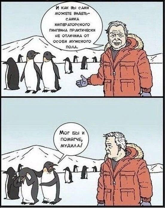 Не очень адекватный юмор