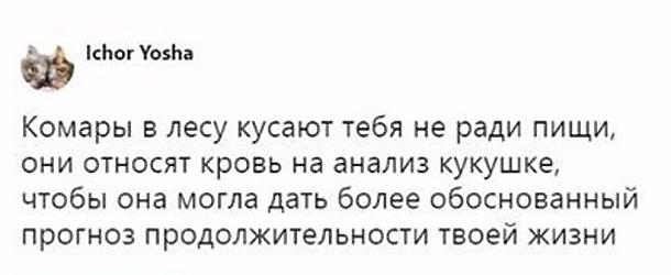 Умные мысли - 12