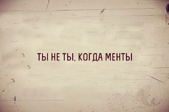 Картинок слегка)