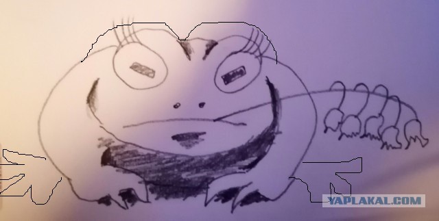 Мужчины умнеют. Женщины негодуют