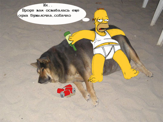 Фотожаба: О чем же думает собака?....