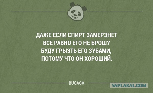 Можно ли хранить водку в морозилке? | Продукты и напитки | Кухня | Аргументы и Факты