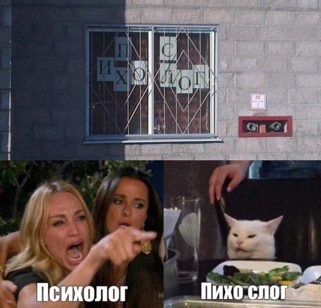 Кота не переубедить