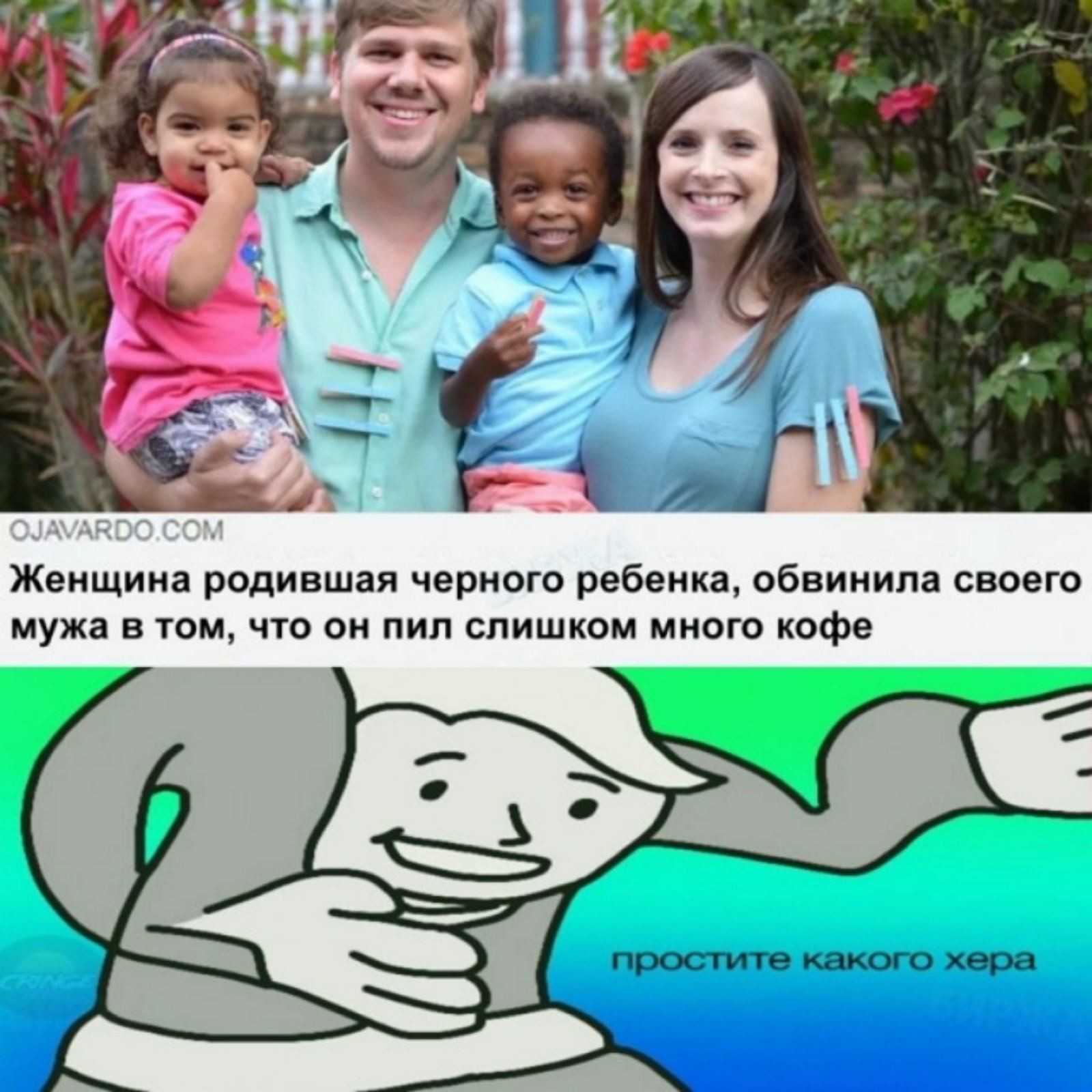 15343077.jpg