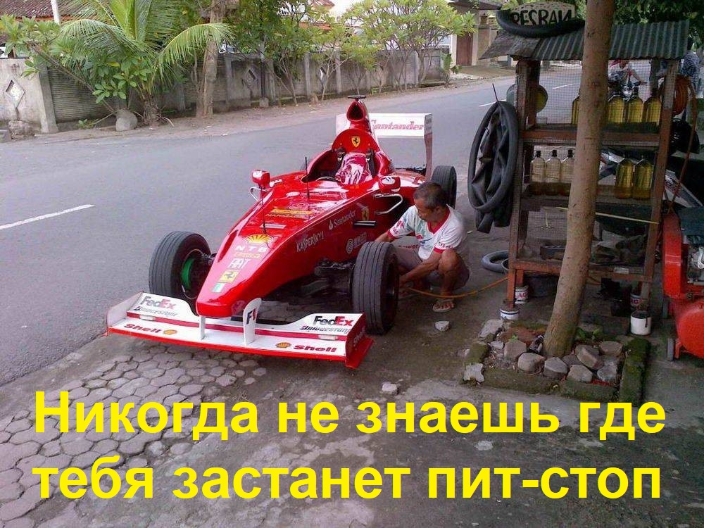 15454077.jpg