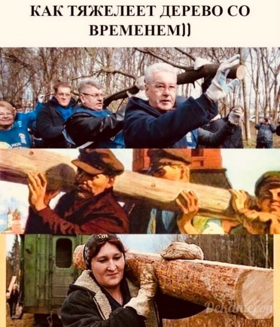 Весёлый полтишок 16.10