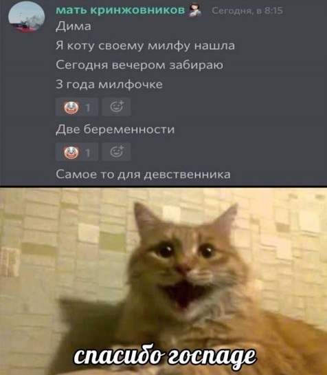 Всяческие картинки