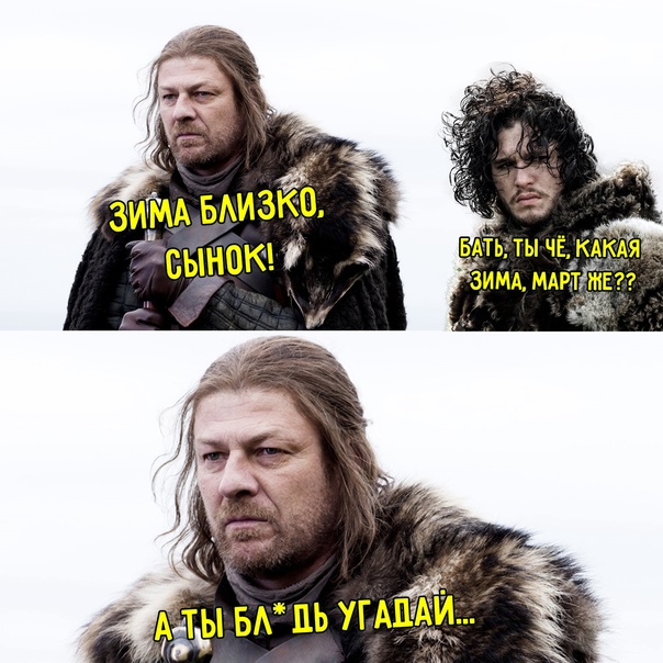16518077.jpg