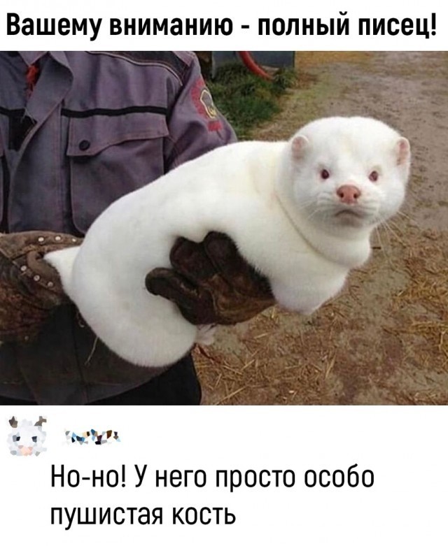 Так себе картинки 16.05.22