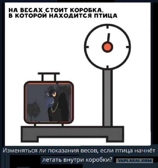 Картинки с надписями и всякие жизненные фразы
