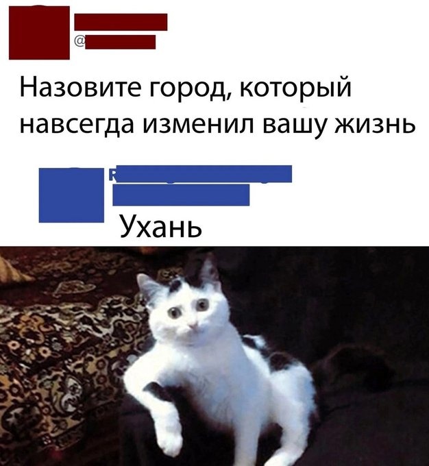 Картинки разные 26.05.2022