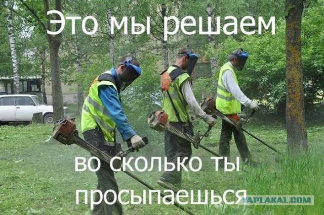 Картинки. Баян-прибоян Япа