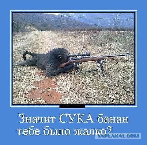 Голый негр запрыгнул на машину