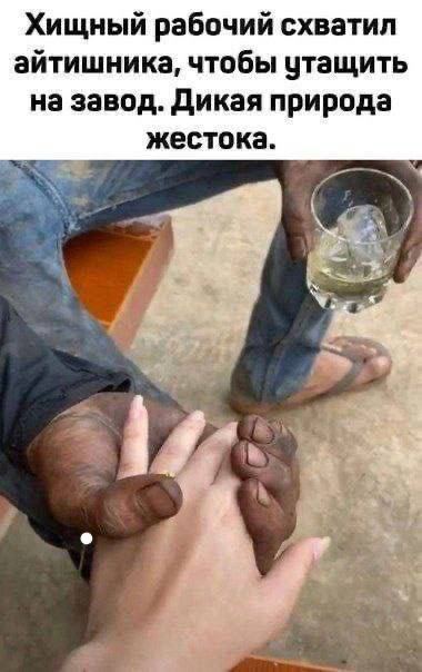 Юмор в картинках и без 12.04