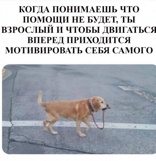 Немного мотивации для мужиков