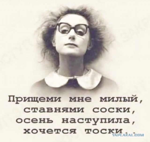 Хозяйство у жениха маленькое, жену не найдет!