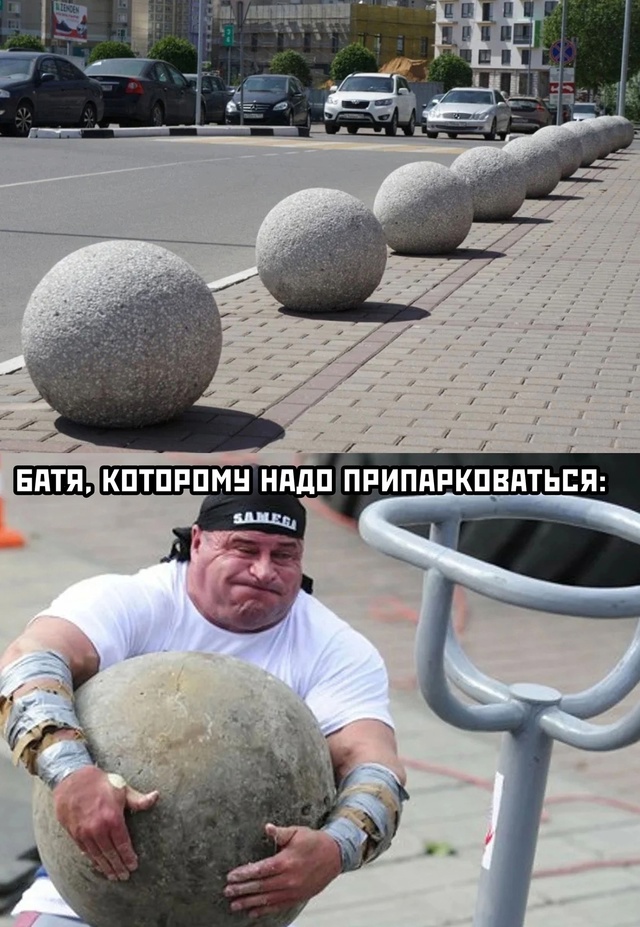 Весёлый полтишок 22.11.24