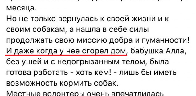 Появилось видео нападения собак на девочку
