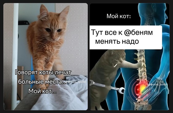 Завалялось тут случайно немного забавных картинок