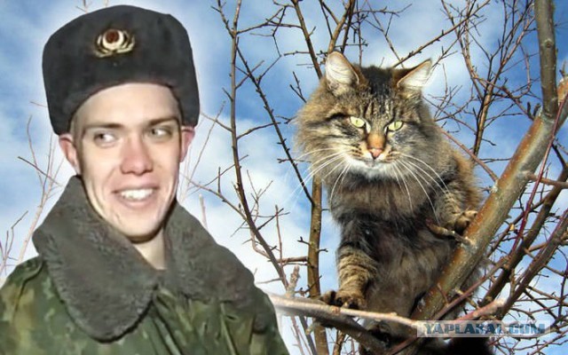 Парень уже 16 часов стоит на карнизе восьмого этажа — не хочет, чтобы его увозили родители из Обнинска