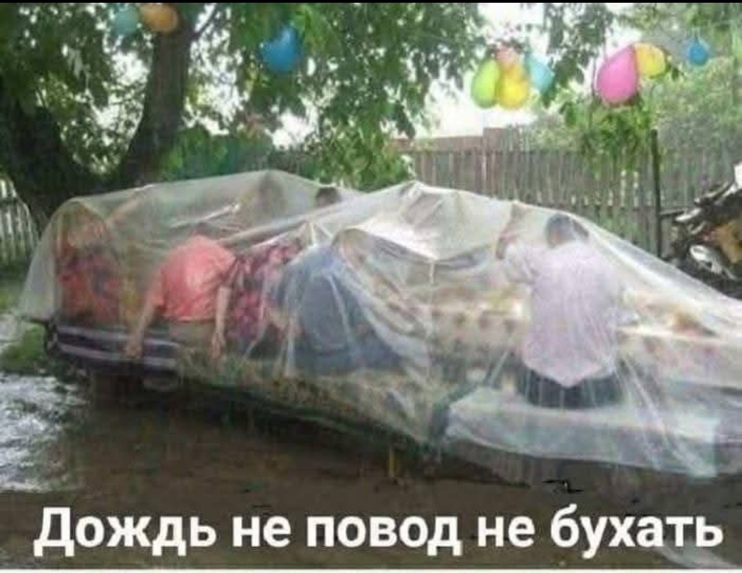 20386077.jpg