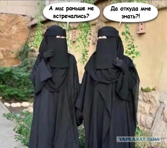 Картинки для деградации 65 (разной степени свежести)
