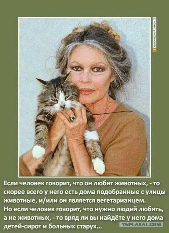 Куча мала 15, последняя