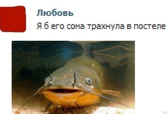 «Фу,старый и тиной воняет»