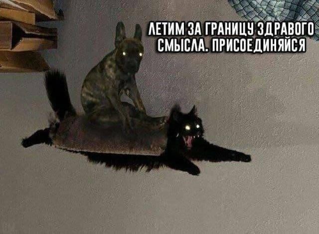 Всякой Хни вам в ленту, дорогие деграданты