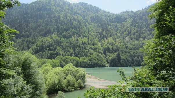 Абхазия (море), Армения (абрикосы)