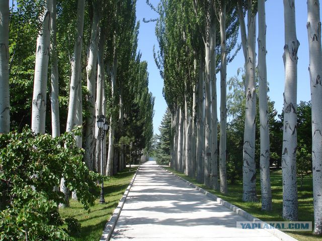 Был на Иссык-Куле 5 раз