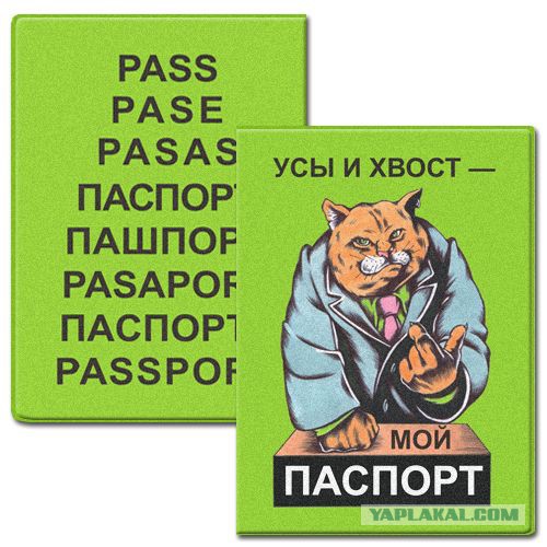 Усы лапы и хвост вот мои документы картинка