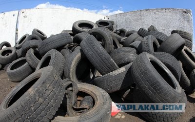 Украина. Время заготовки кизяков заканчивается