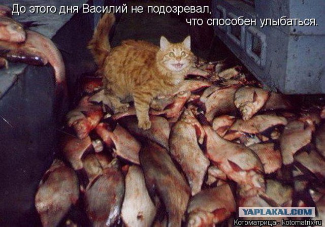 Постараюсь показать новую тему с картинками