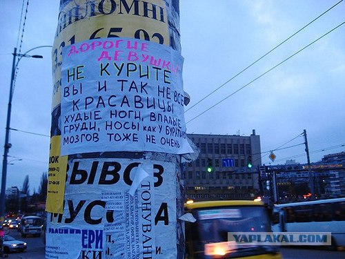 Вы и так не красавицы