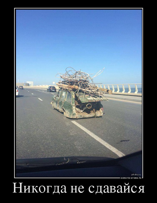 Весёлые картинки