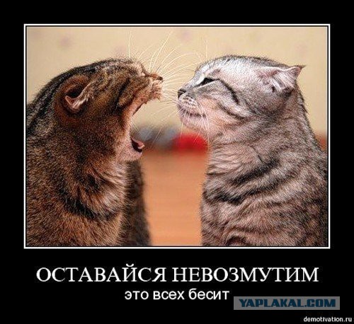 В любой ситуации - не выдавай эмоций