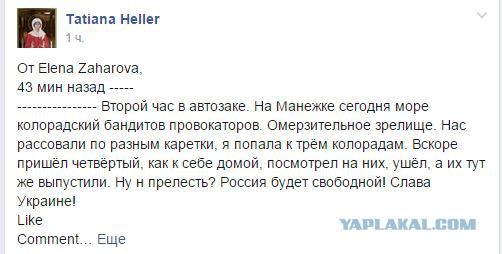 На Манежную площадь вышли казаки