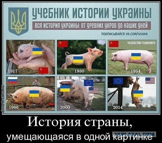 Львовский депутат сорвал георгиевскую ленточку