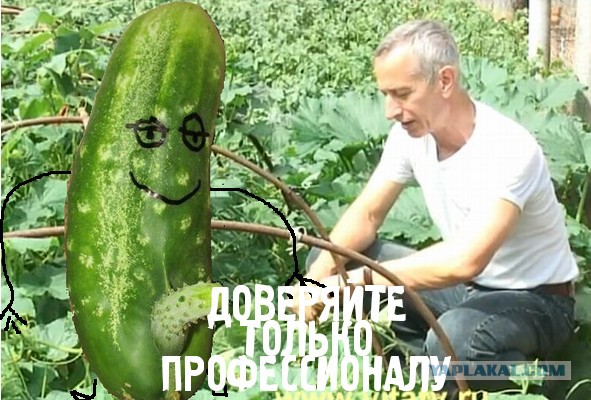 Уголок народной медицины