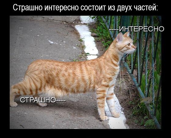 На среду 40 картинок, текстов, смс