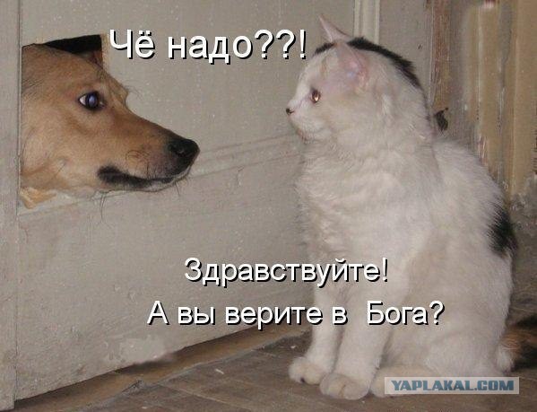 «Мне за тридцать, и я одинока»