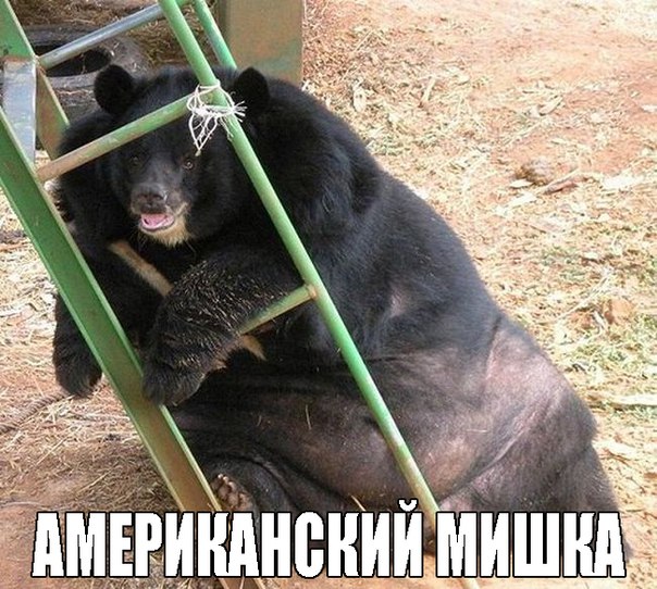 Ужасы и приколы из соцсетей
