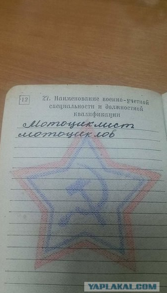 Смешные картинки
