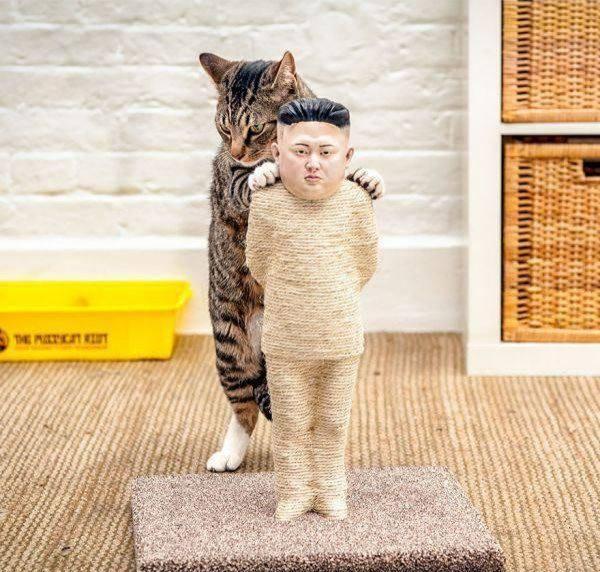 Картинки смешные и несмешные