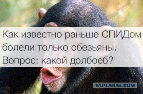 Подборка интересных и веселых фото